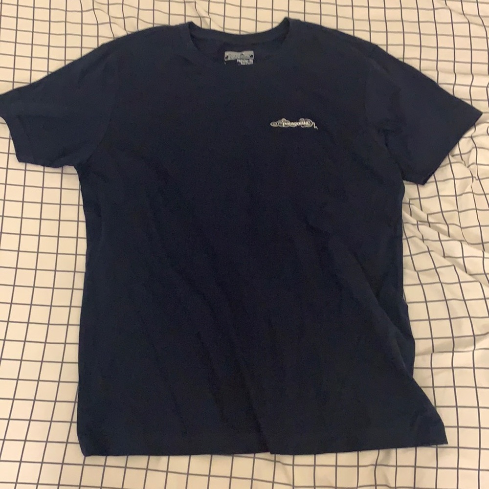 Blue Patagonia mountains mens shirt (large)